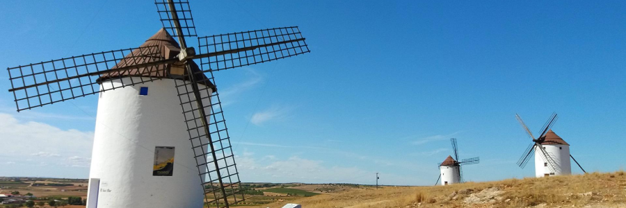 Los mejores aceites de Castilla La Mancha