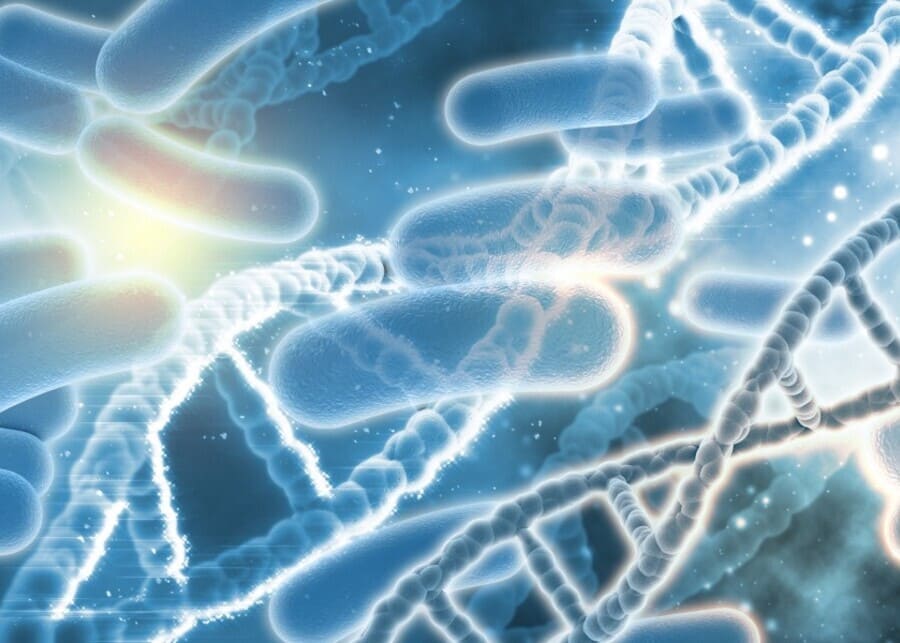 AOVE y salud cardiovascular: el papel de la microbiota