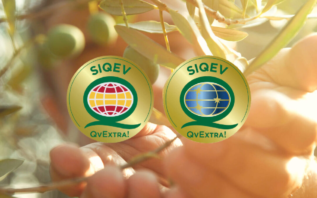 SIQEV se erige como estándar de credibilidad del Virgen Extra